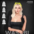 thumbnails/289-Wasabi - Tangerine.jpg.small.jpeg