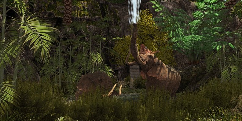 Jungle shower