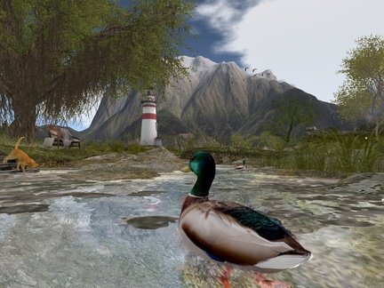 Always a lighthouse... seldom a duck
