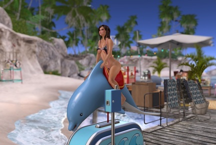 Riding the dolphin